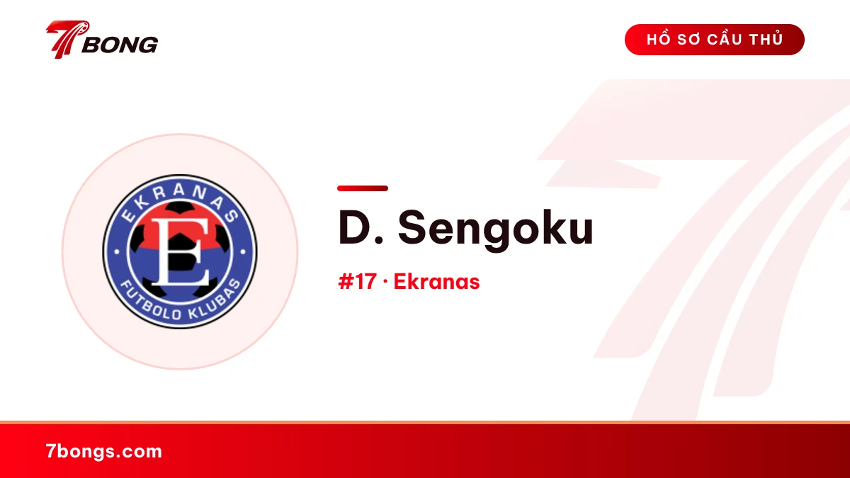 D. Sengoku — Ekranas
