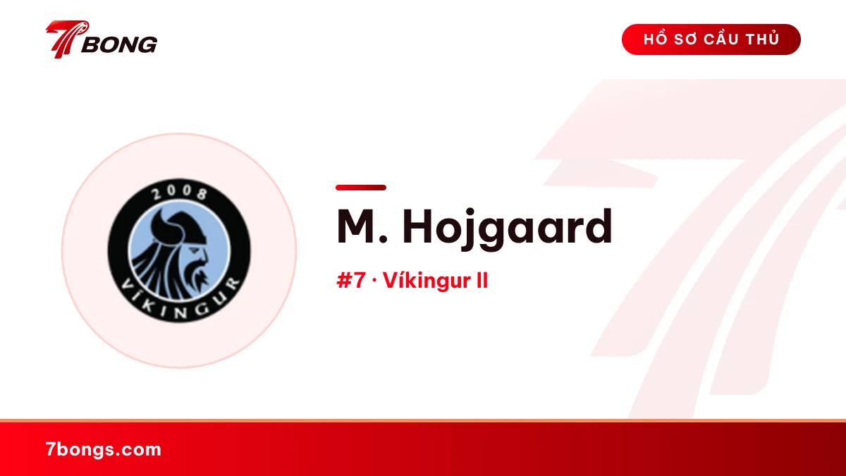 M. Hojgaard — Víkingur II