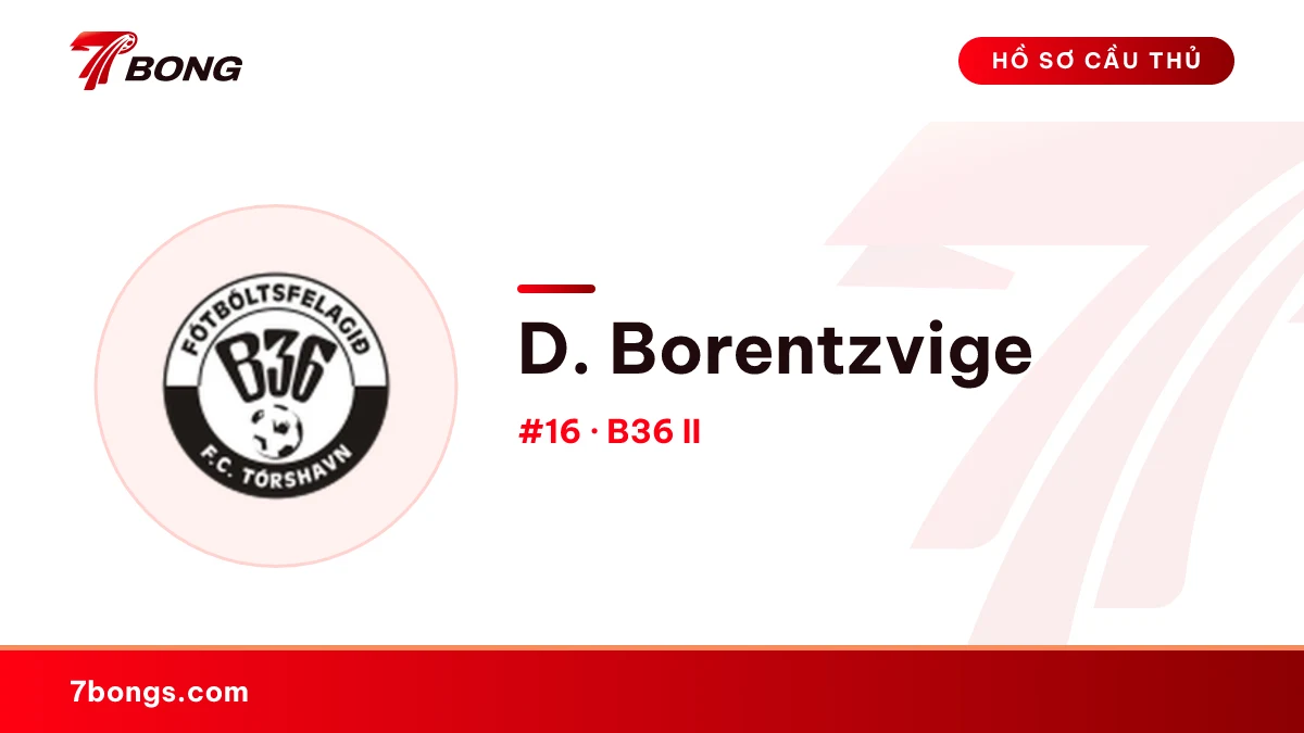 D. Borentzvige — B36 II