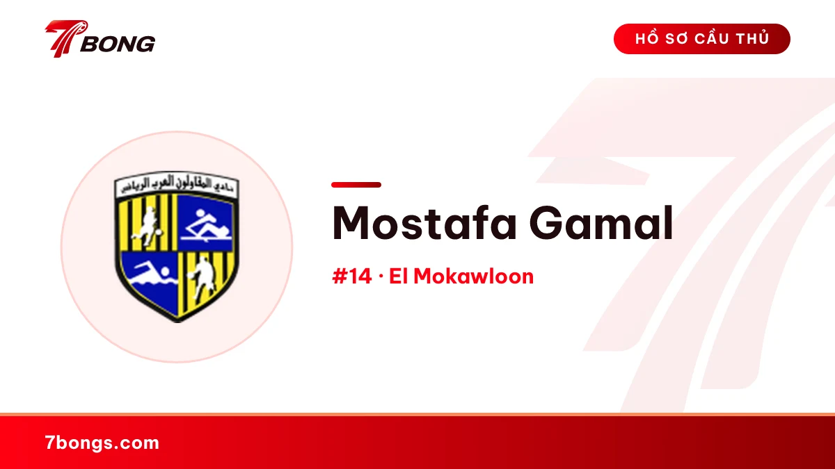 Mostafa Gamal — El Mokawloon