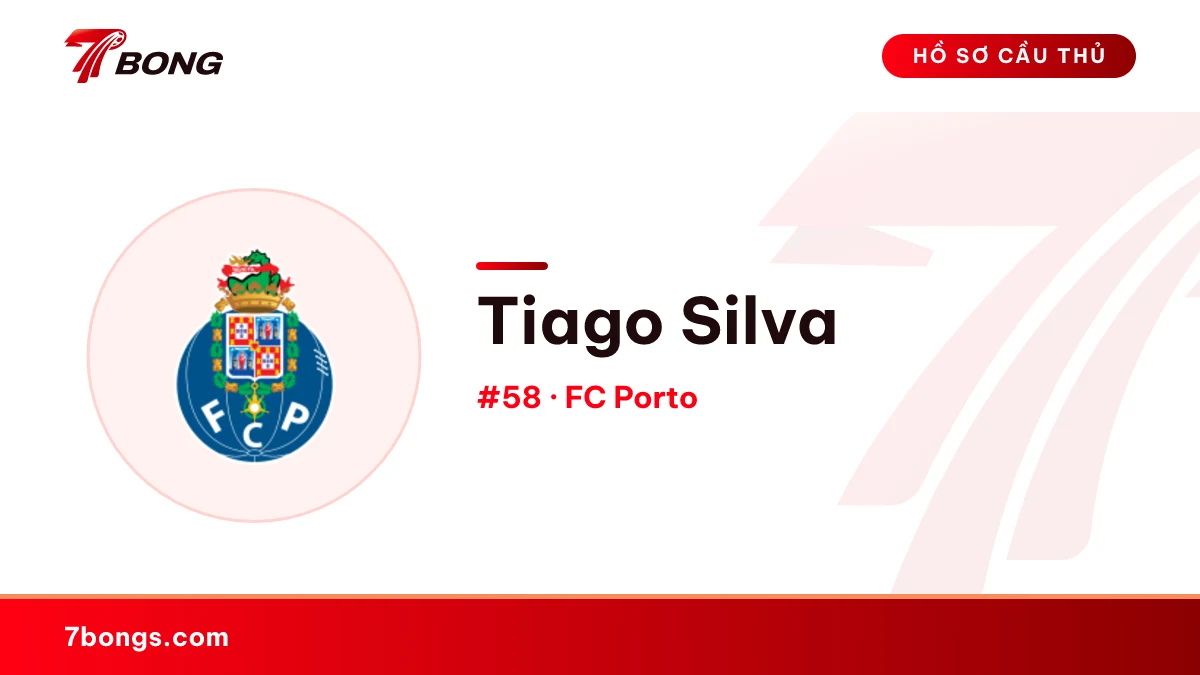 Tiago Silva — FC Porto