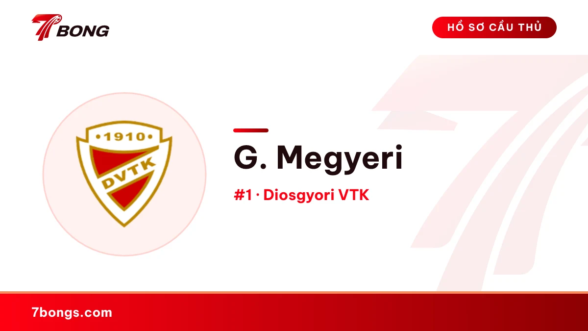 G. Megyeri — Diosgyori VTK