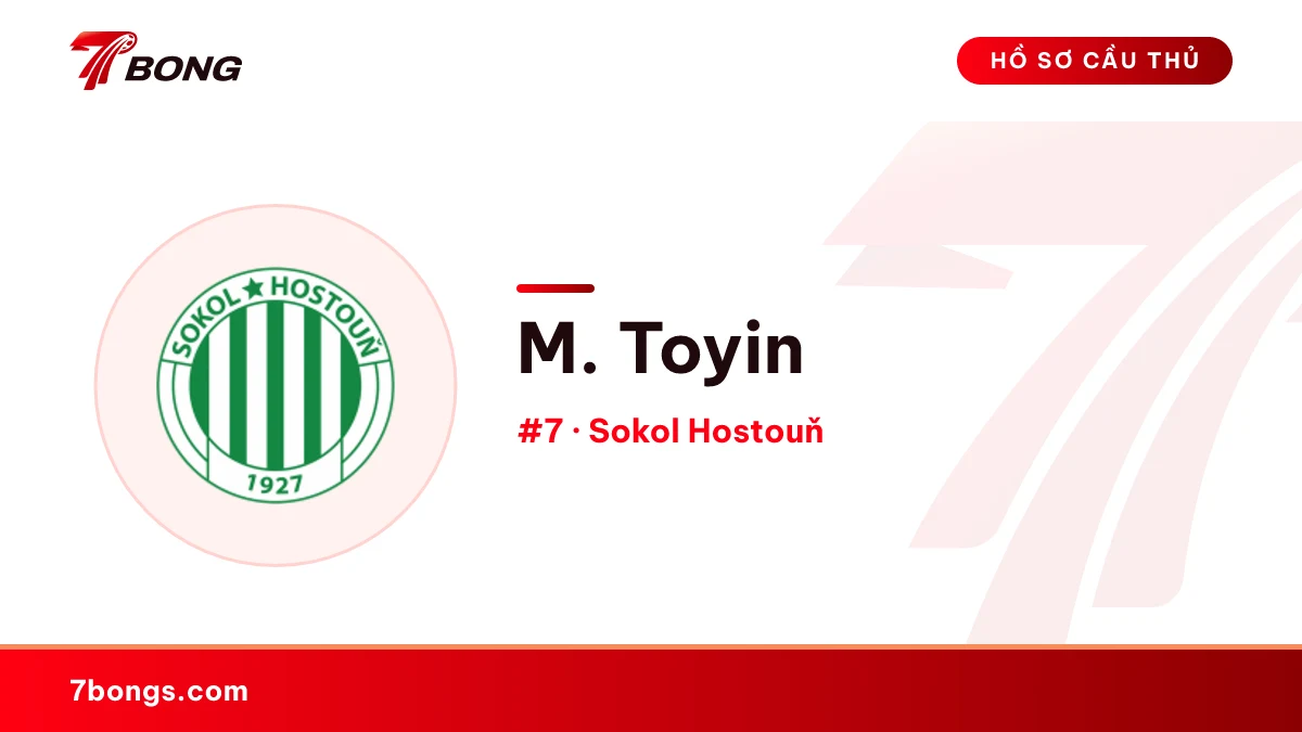 M. Toyin — Sokol Hostouň