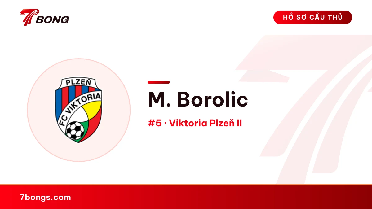 M. Borolic — Viktoria Plzeň II