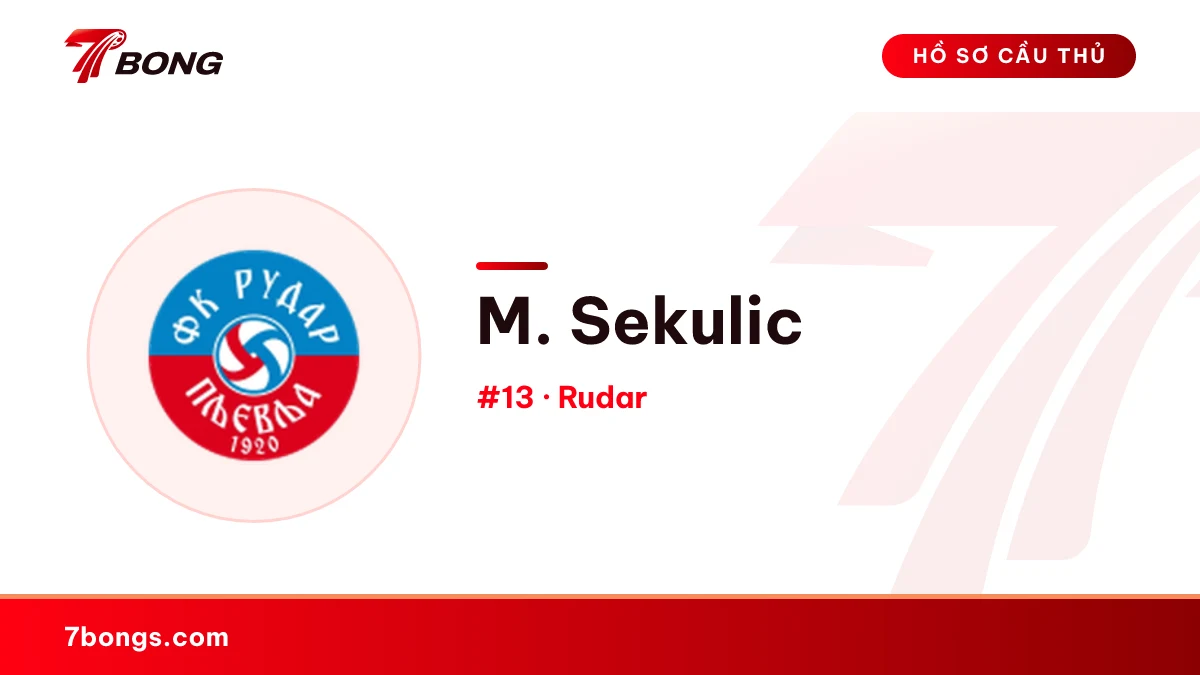 M. Sekulic — Rudar
