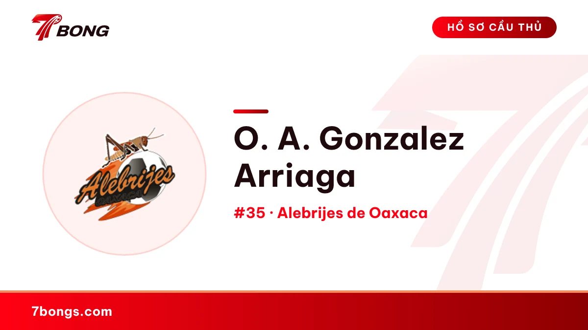 O. A. Gonzalez Arriaga — Alebrijes de Oaxaca