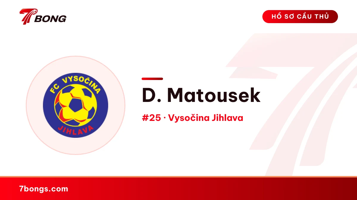 D. Matousek — Vysočina Jihlava
