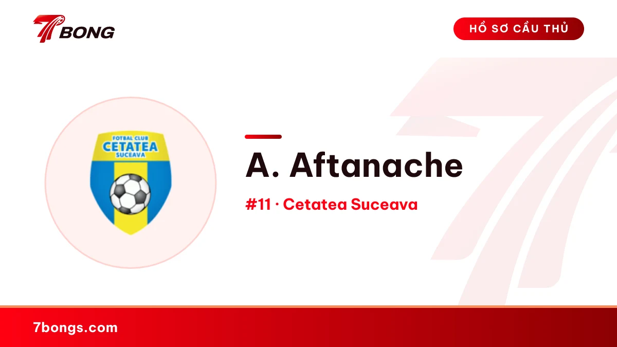 A. Aftanache — Cetatea Suceava