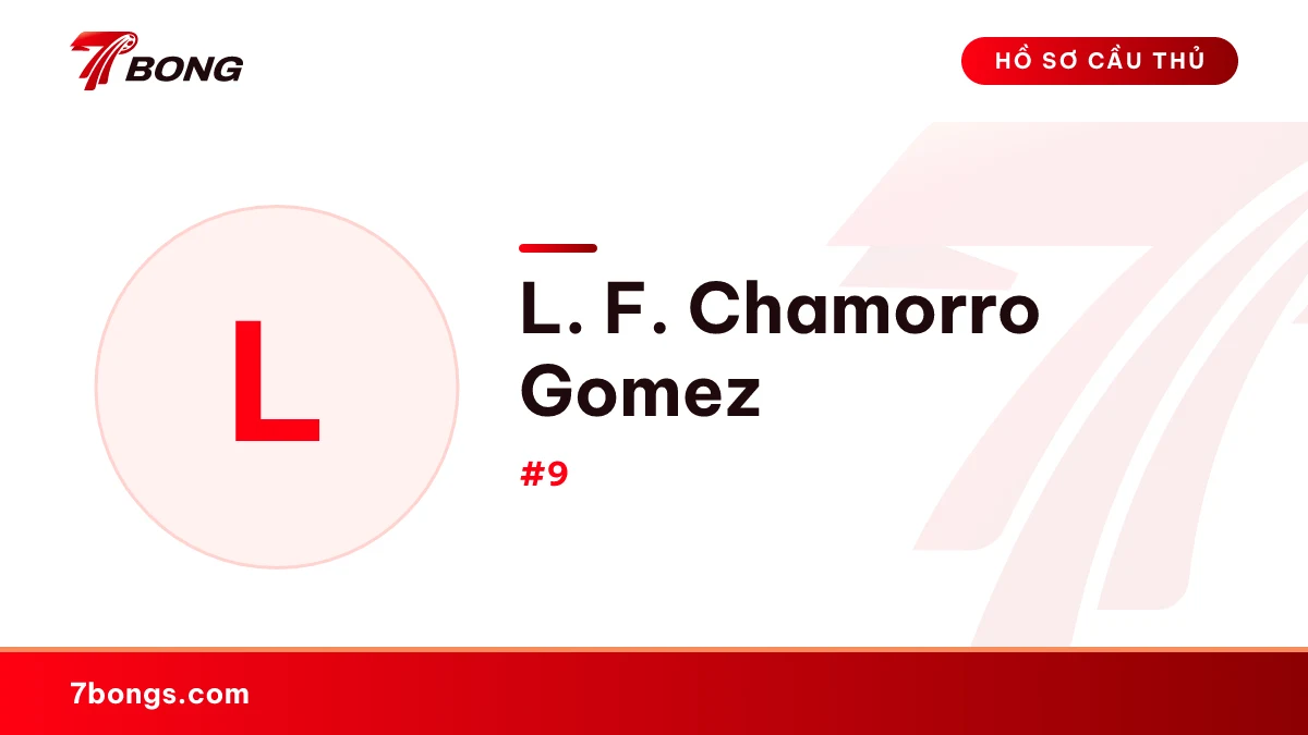 L. F. Chamorro Gomez