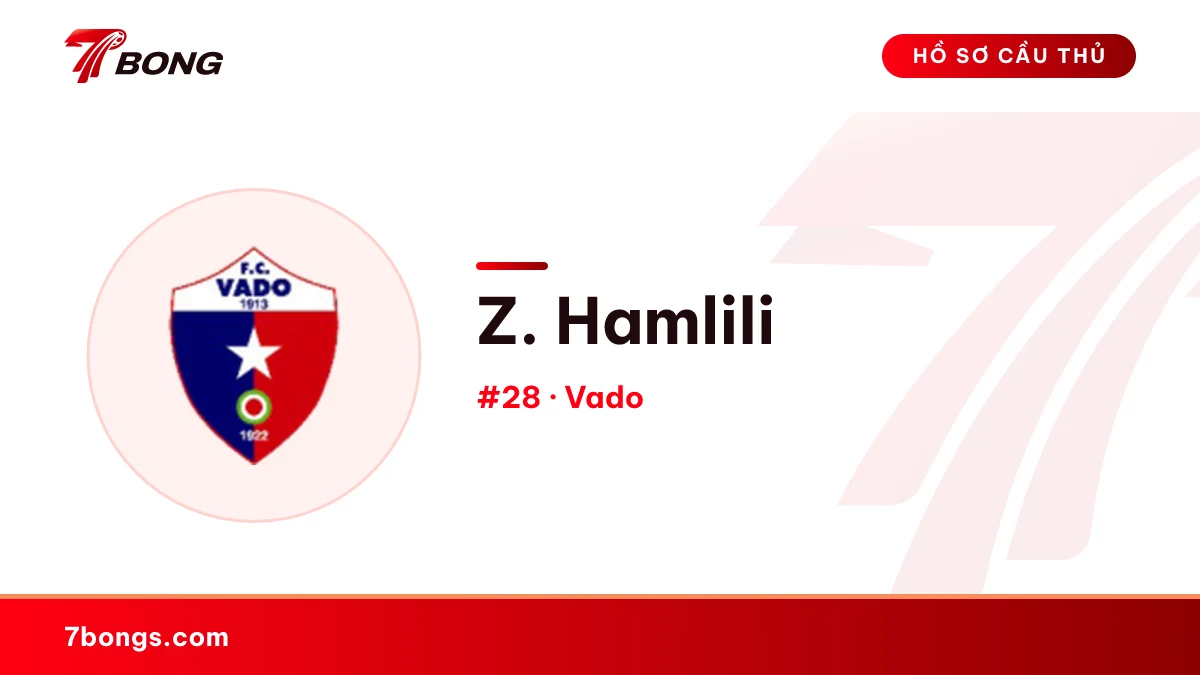 Z. Hamlili — Vado