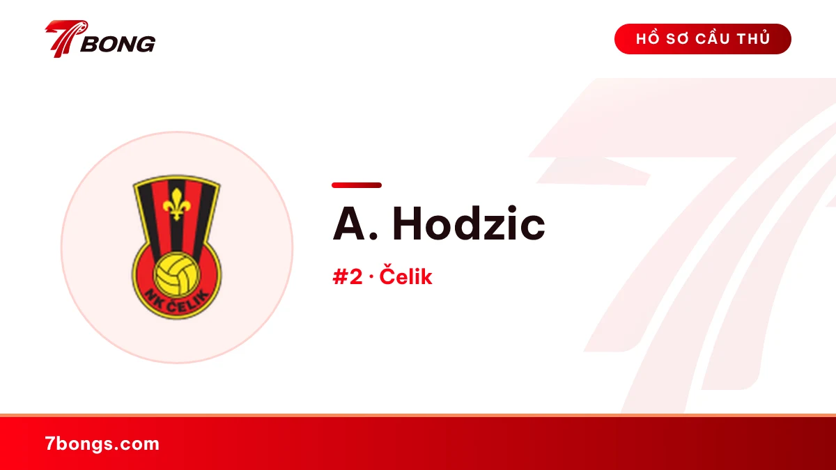 A. Hodzic — Čelik