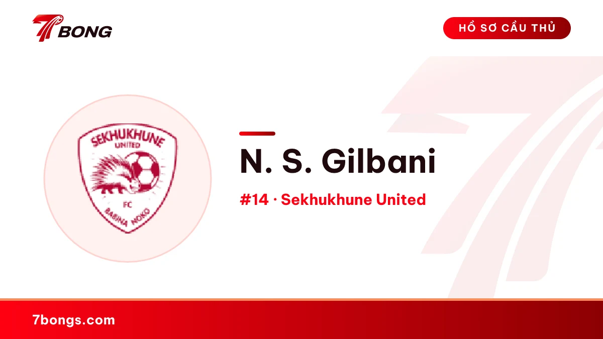 N. S. Gilbani — Sekhukhune United