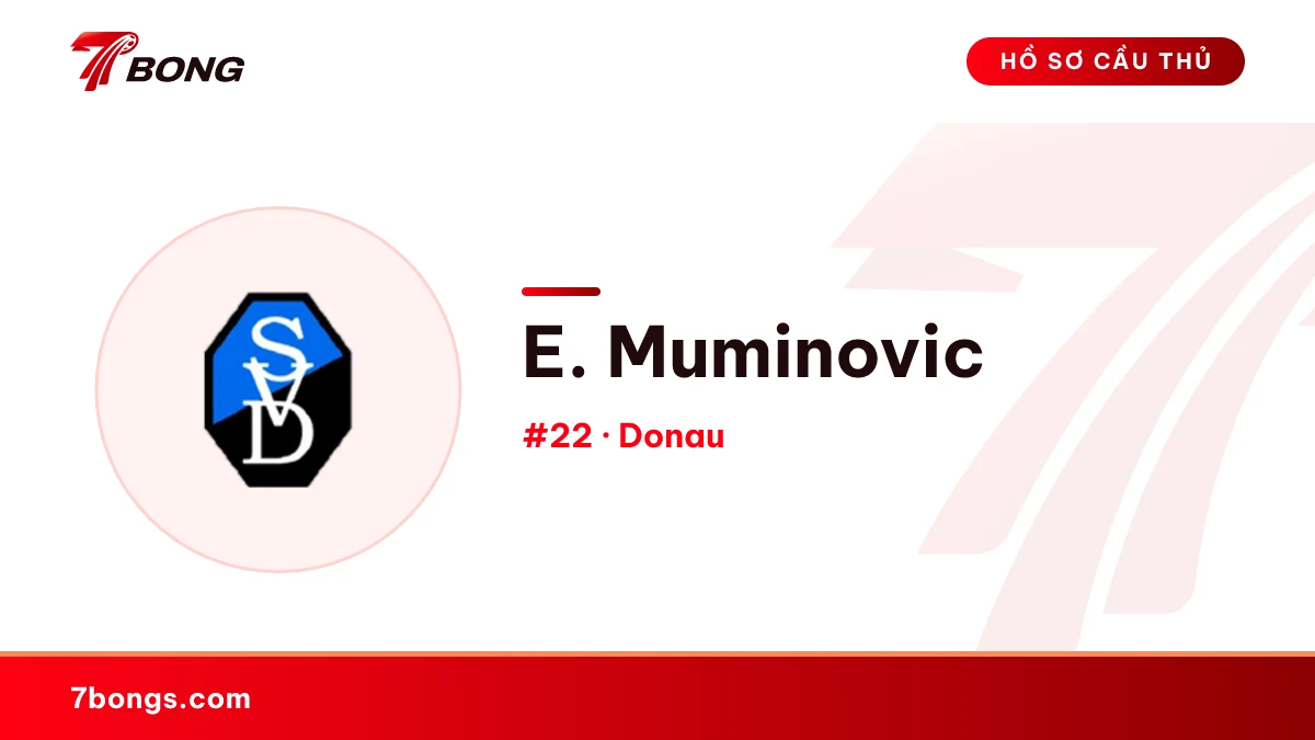 E. Muminovic — Donau