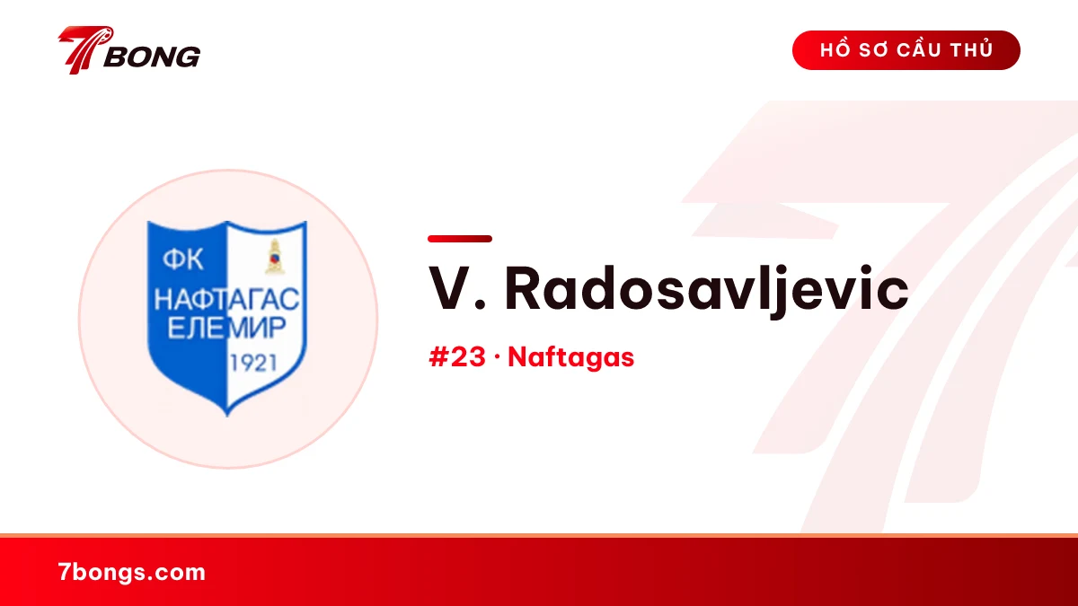 V. Radosavljevic — Naftagas