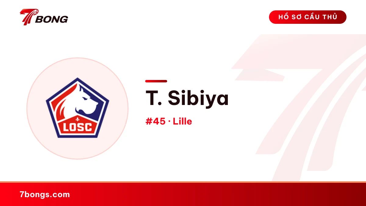 T. Sibiya — Lille