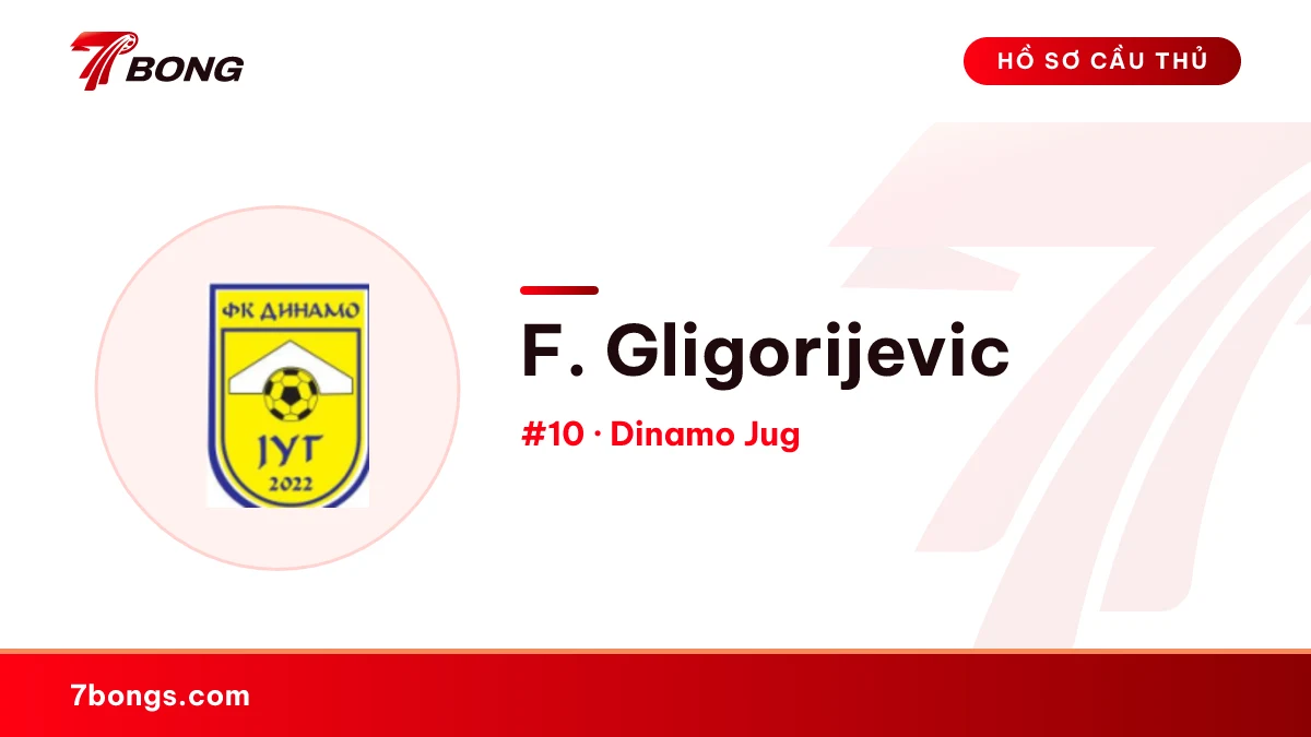 F. Gligorijevic — Dinamo Jug