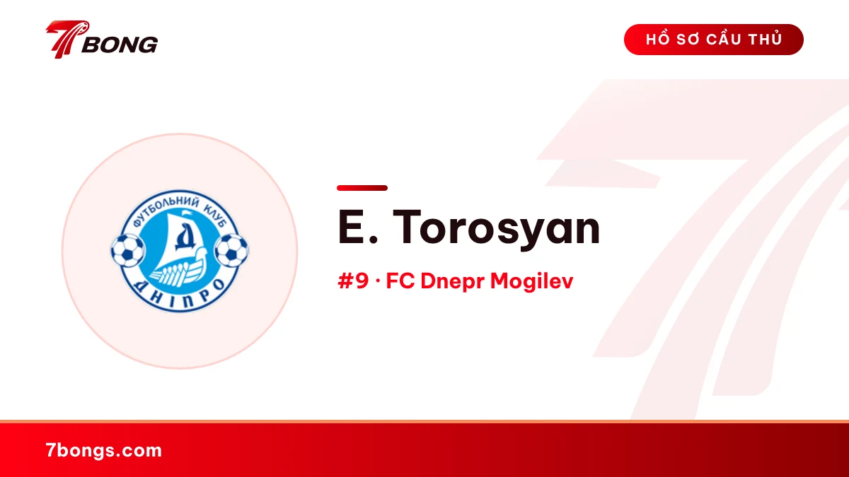 E. Torosyan — FC Dnepr Mogilev