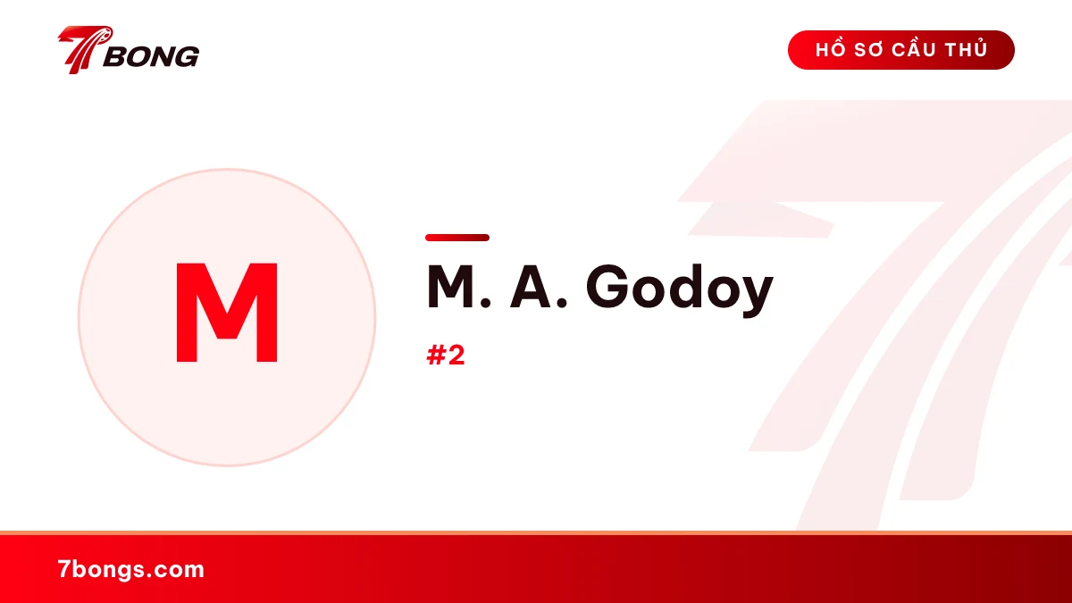 M. A. Godoy