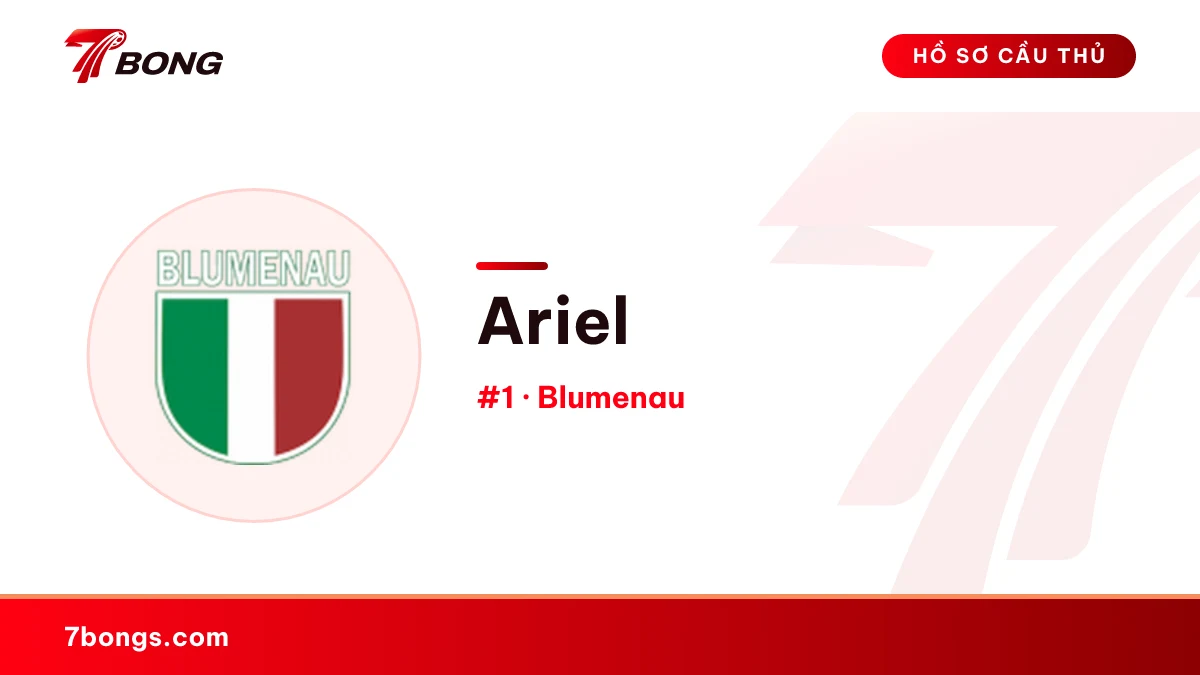 Ariel — Blumenau