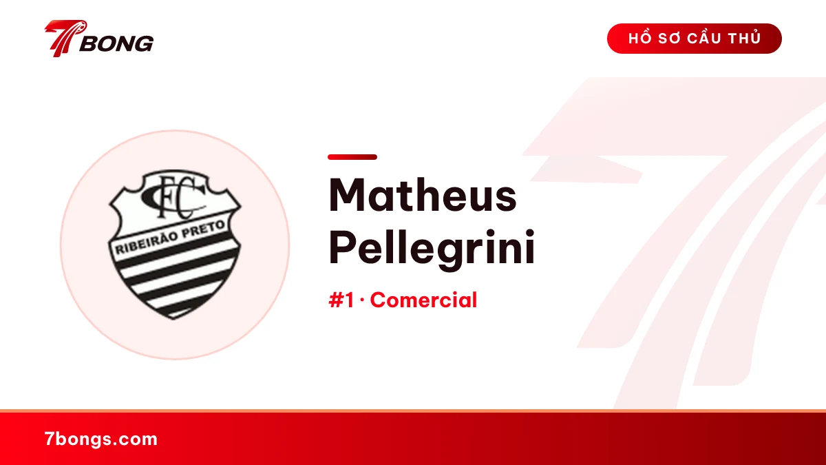 Matheus Pellegrini — Comercial