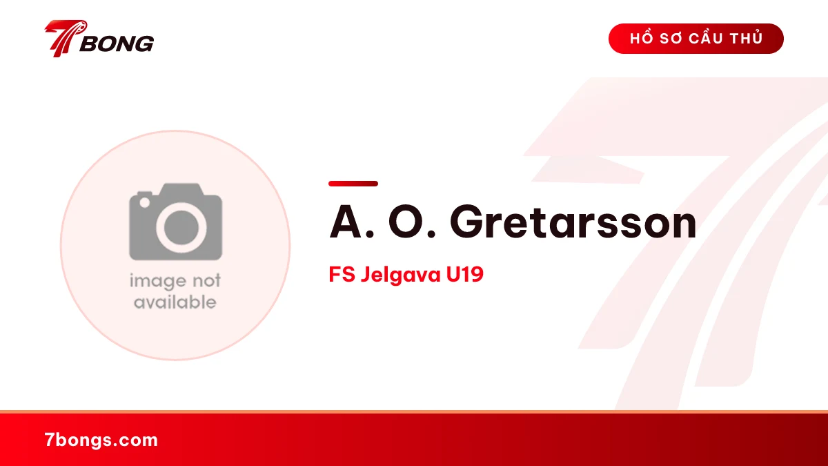 A. O. Gretarsson — FS Jelgava U19