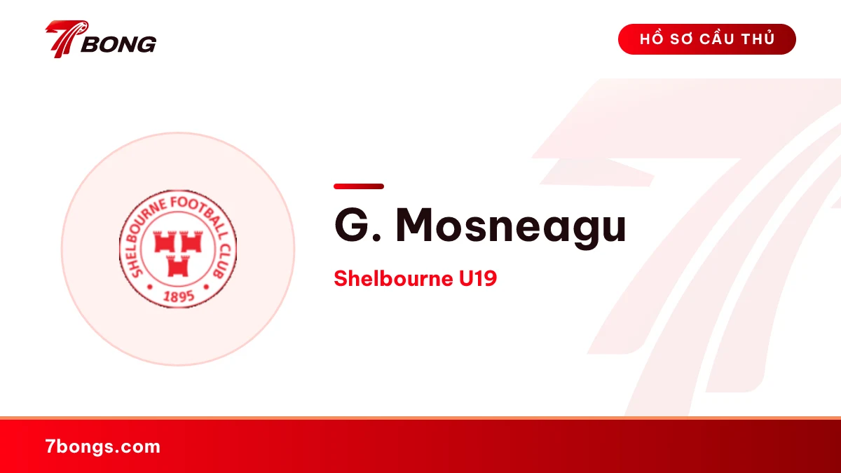 G. Mosneagu — Shelbourne U19