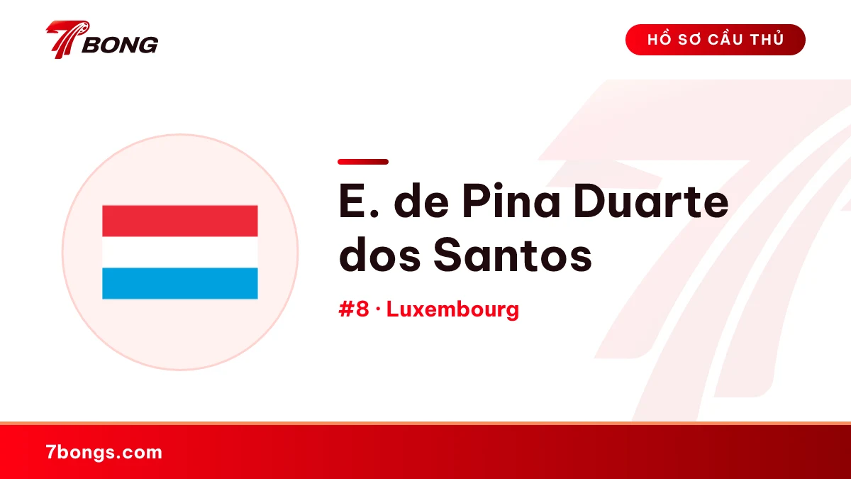 E. de Pina Duarte dos Santos — Luxembourg