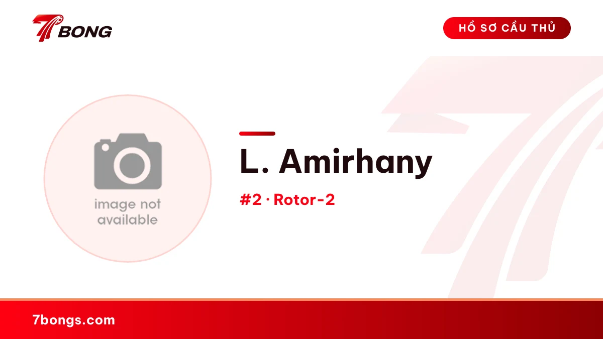 L. Amirhany — Rotor-2