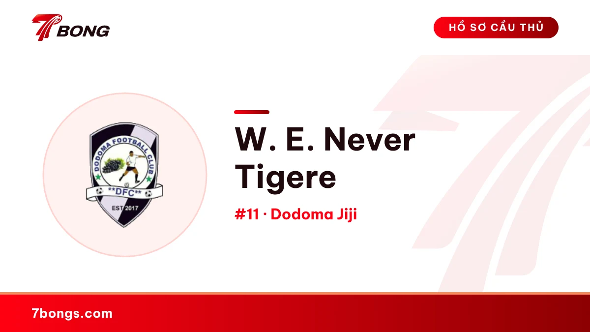 W. E. Never Tigere — Dodoma Jiji