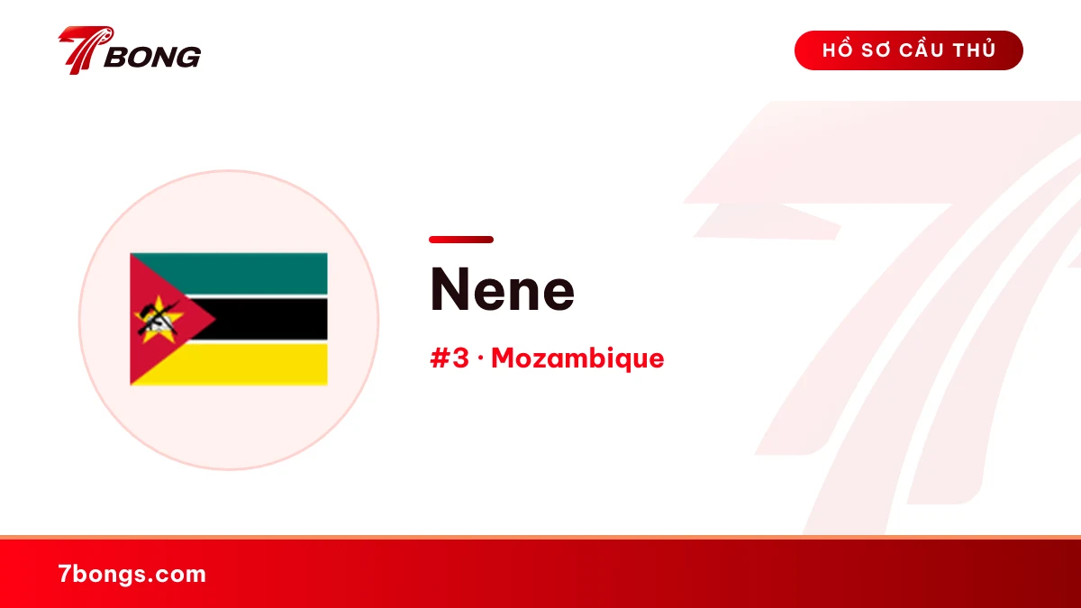 Nene — Mozambique