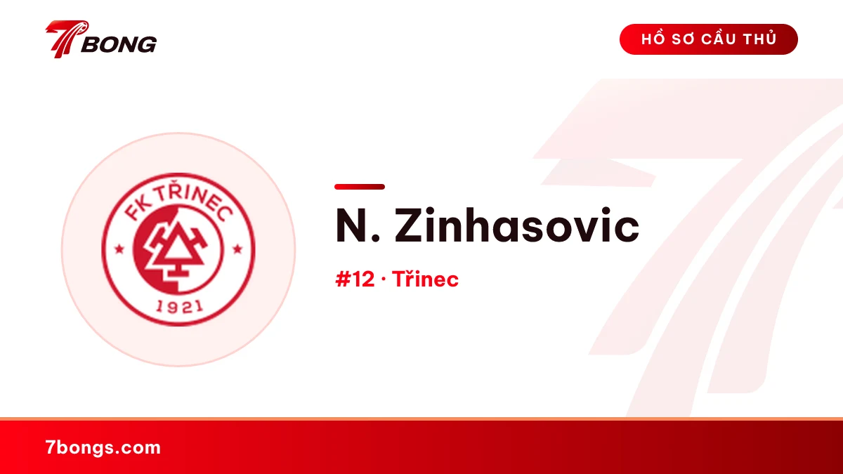 N. Zinhasovic — Třinec