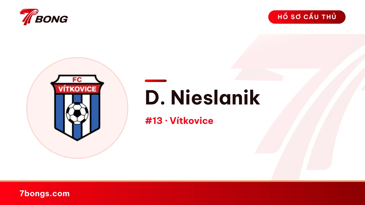 D. Nieslanik — Vítkovice