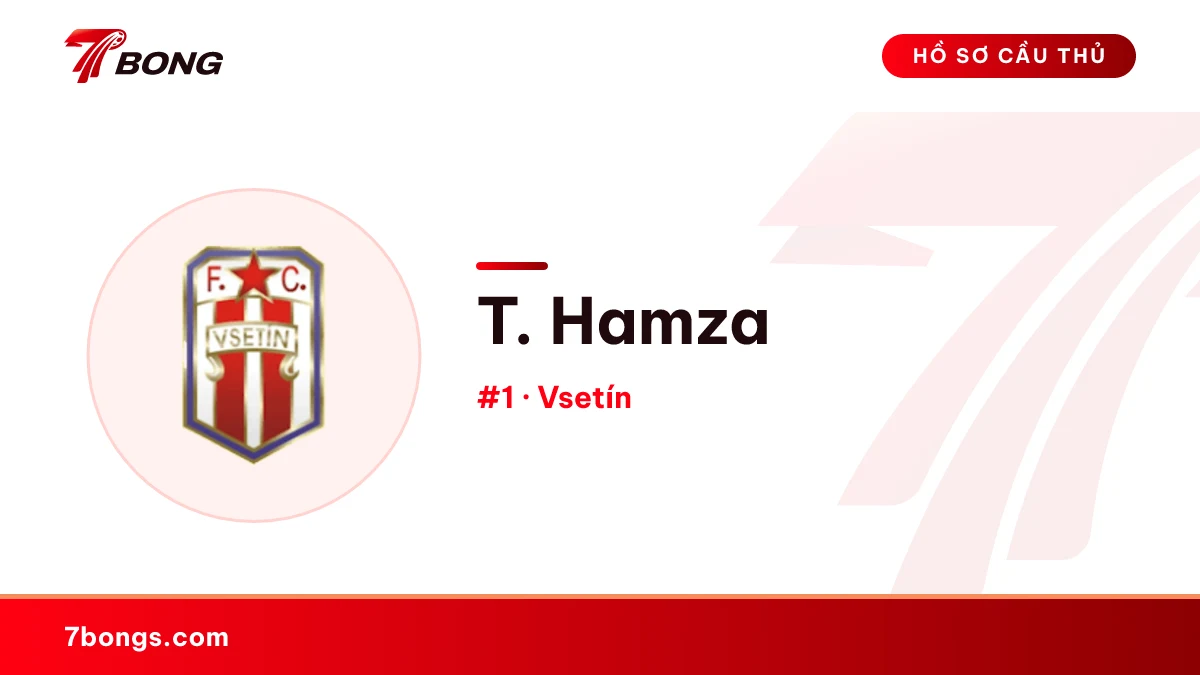 T. Hamza — Vsetín