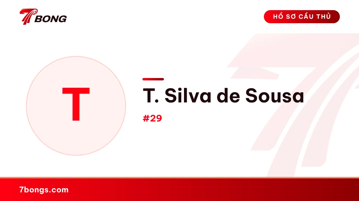 T. Silva de Sousa