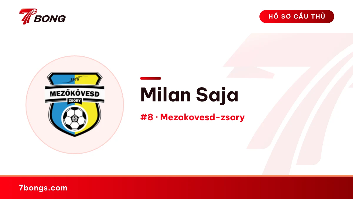 Milan Saja — Mezokovesd-zsory