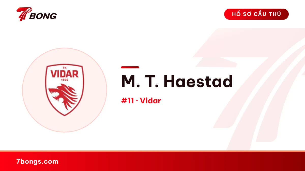M. T. Haestad — Vidar