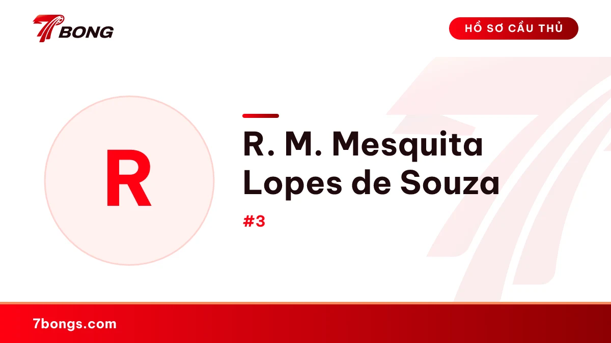 R. M. Mesquita Lopes de Souza