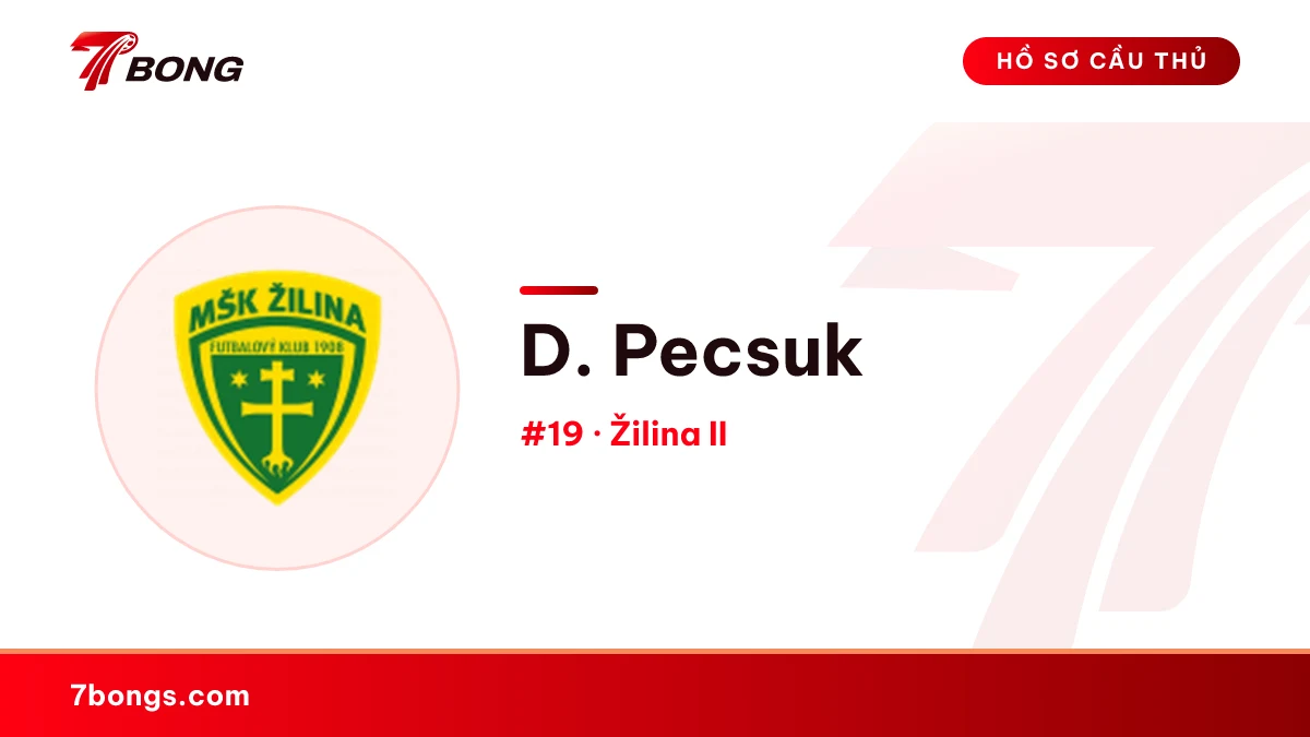 D. Pecsuk — Žilina II