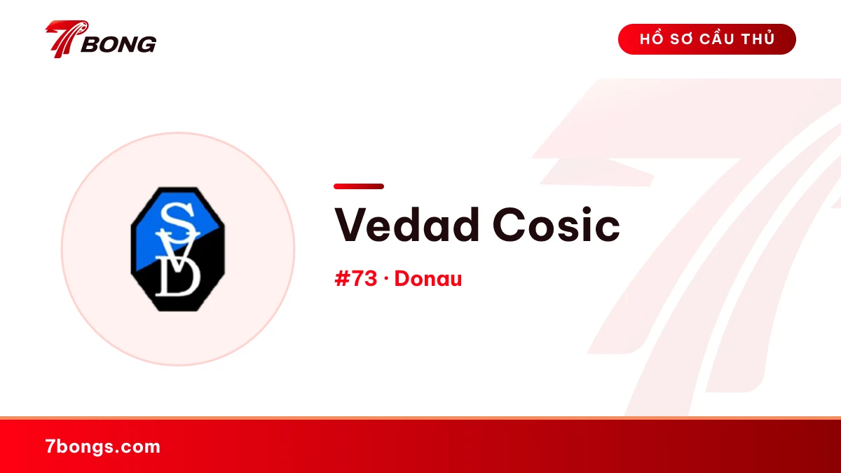 Vedad Cosic — Donau