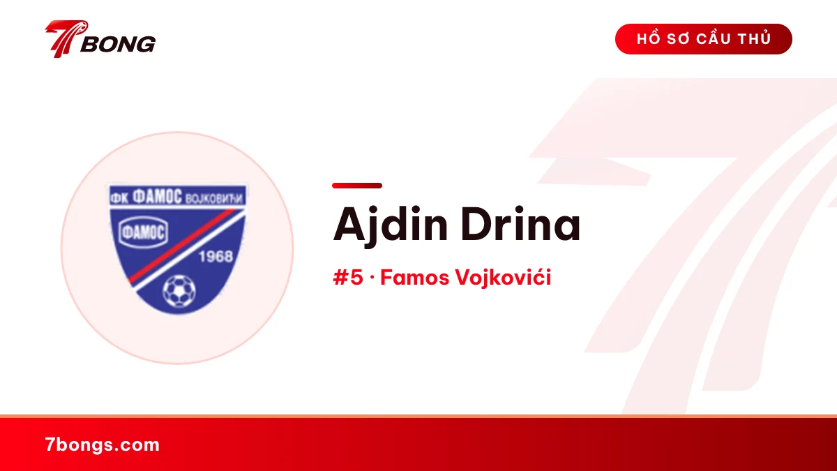 Ajdin Drina — Famos Vojkovići