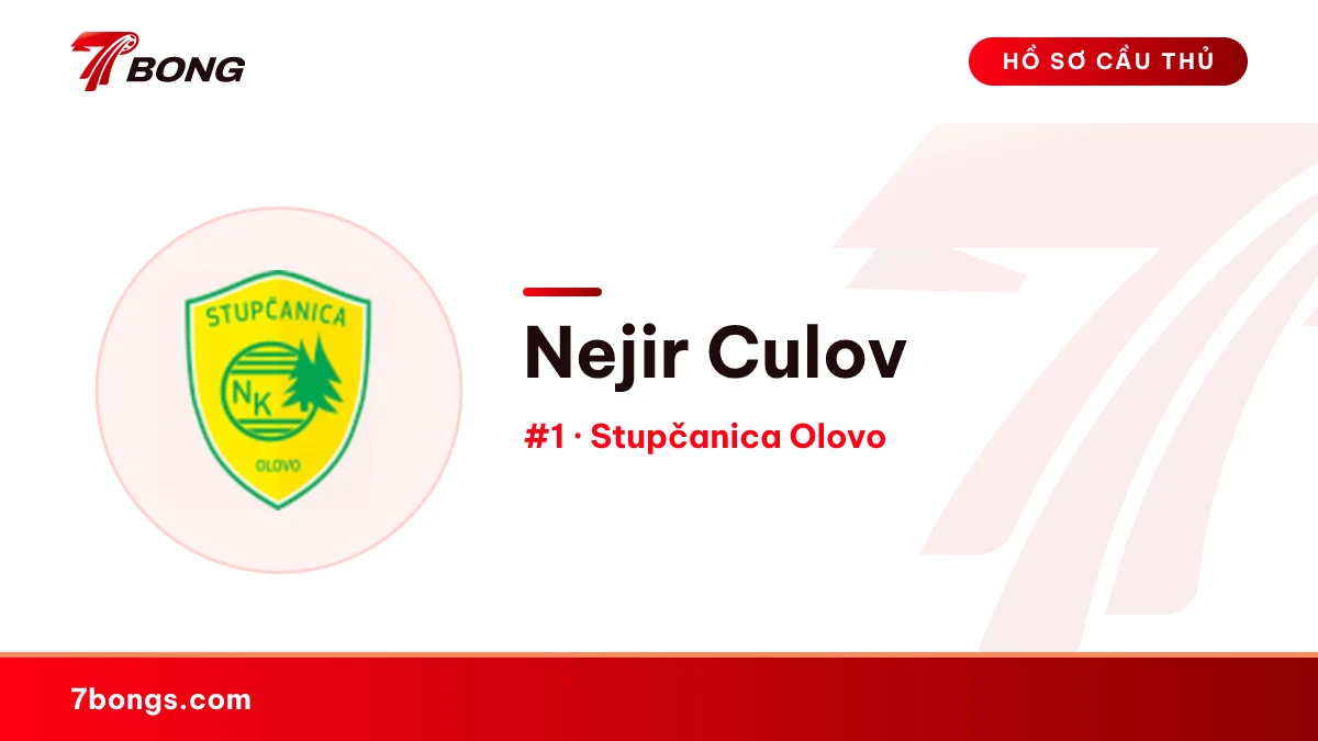 Nejir Culov — Stupčanica Olovo