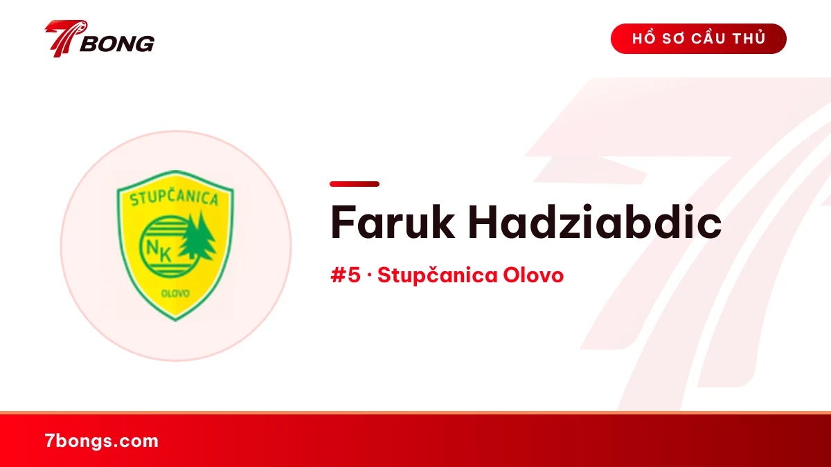 Faruk Hadziabdic — Stupčanica Olovo