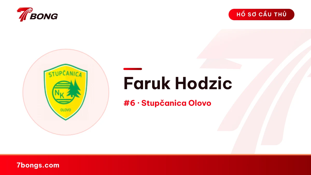 Faruk Hodzic — Stupčanica Olovo