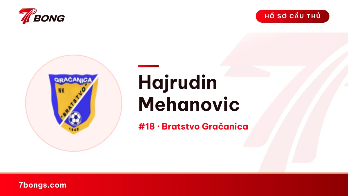 Hajrudin Mehanovic — Bratstvo Gračanica