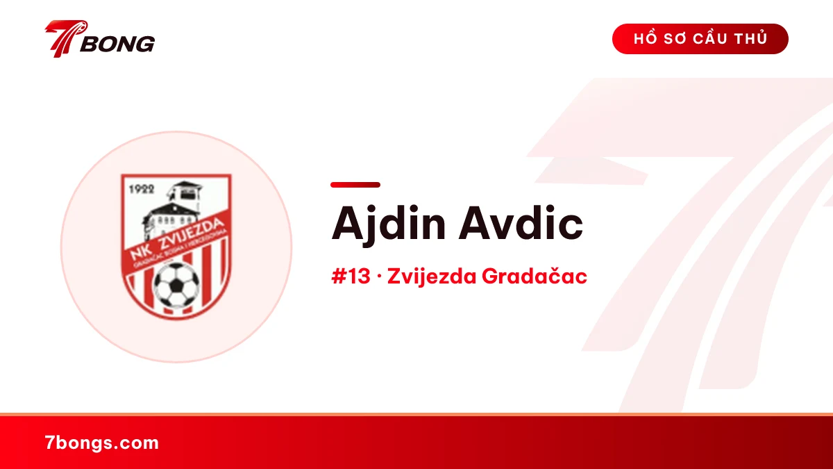 Ajdin Avdic — Zvijezda Gradačac