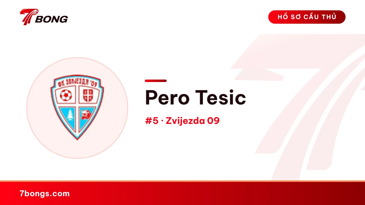 Pero Tesic — Zvijezda 09