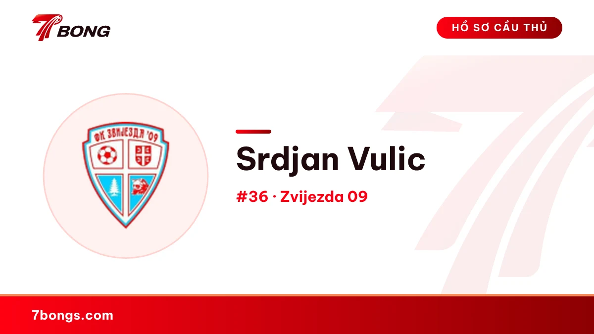 Srdjan Vulic — Zvijezda 09