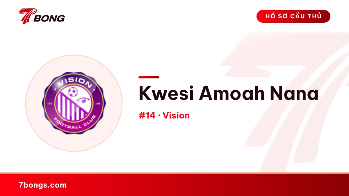 Kwesi Amoah Nana — Vision