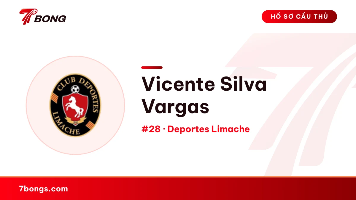 Vicente Silva Vargas — Deportes Limache