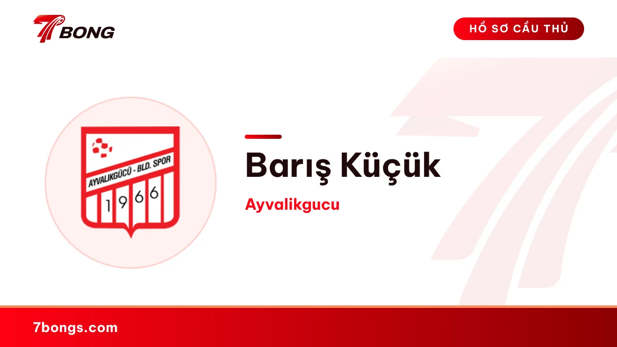 Barış Küçük — Ayvalikgucu